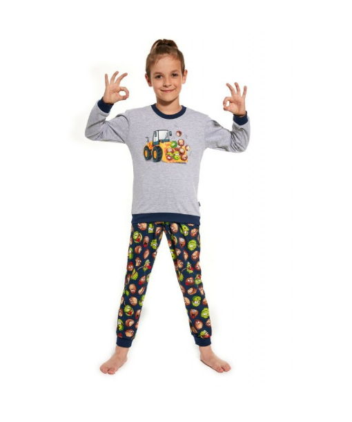 Chlapčenské pyžamo Cornette Chestnuts 593/128